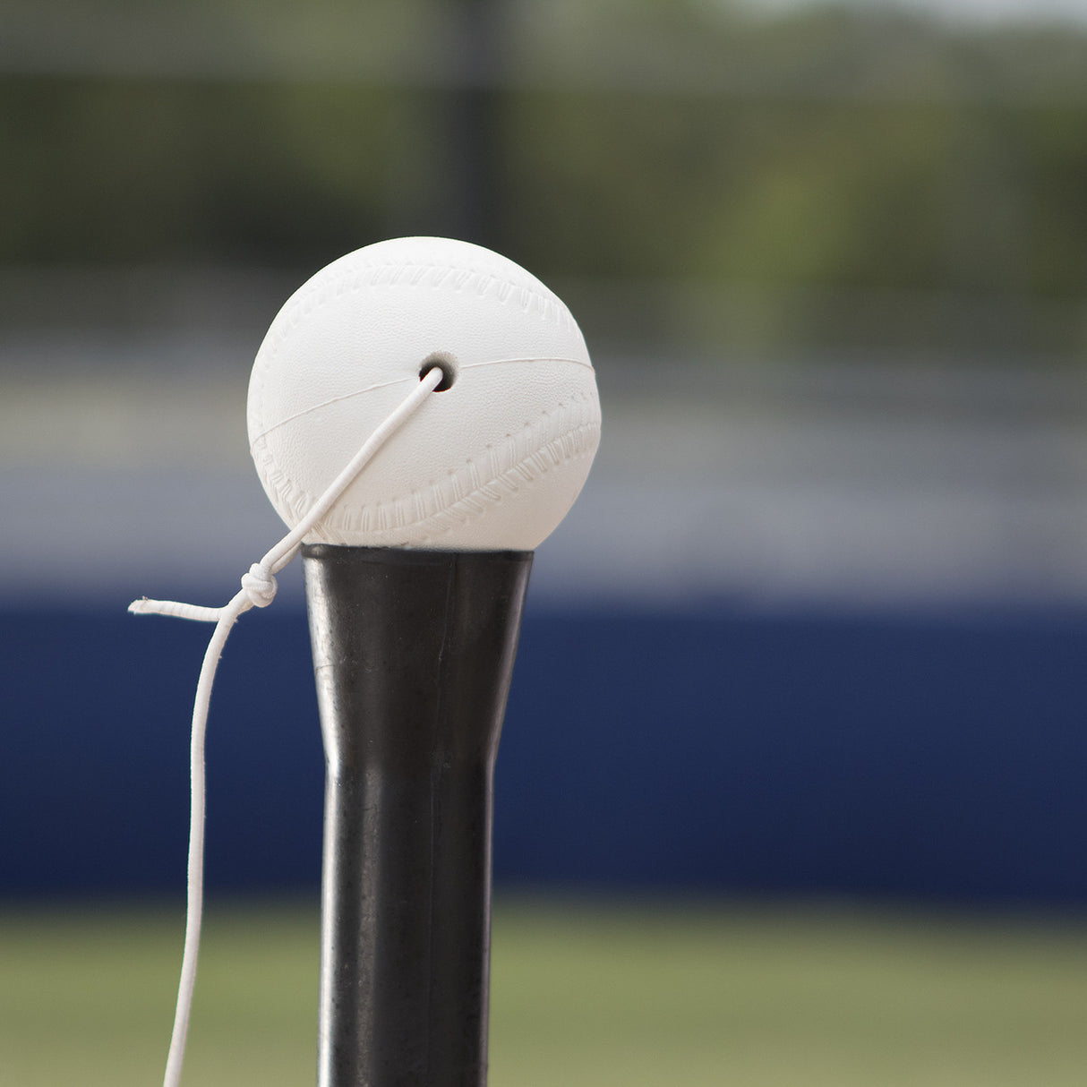 Champion Sports BATTING TEE TRAINER