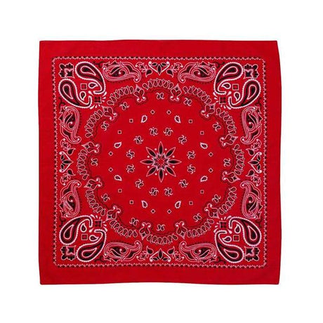 Valucap ValuMask Bandana - Valucap VC21 Valucap Red Paisley One Size