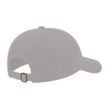 JOE102 Papa Joe Dad Hat - Gray (Back)