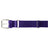 Champro A062 MVP Baseball Belt - Youth Sizing Champro PURPLE