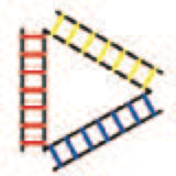 Champion Sports SECTIONED AGILITY LADDER SET 2 METERS