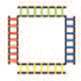 Champion Sports SECTIONED AGILITY LADDER SET 2 METERS