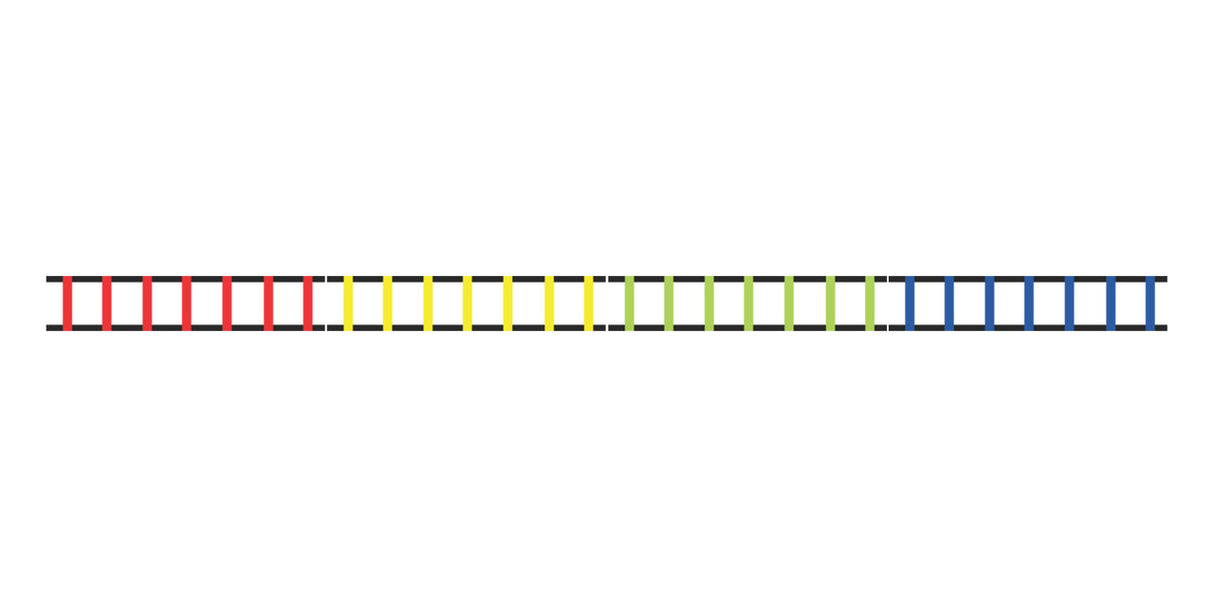 Champion Sports SECTIONED AGILITY LADDER SET 2 METERS