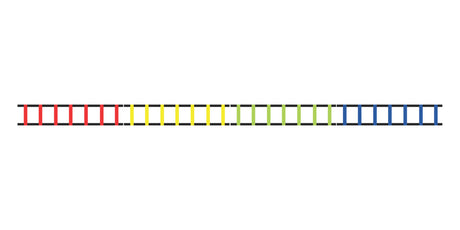 Champion Sports AGLCLR Sectioned Agility Ladder Set 2 Meters