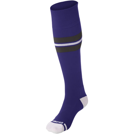 Champro Striped Baseball Sock | Champro AS3