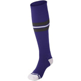 MULTI SPORT STRIPED SOCK | Champro AS3 Accessories Champro Sports Purple, Graphite, White Small
