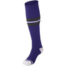 MULTI SPORT STRIPED SOCK | Champro AS3 Accessories Champro Sports Purple, Graphite, White Small