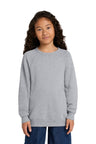 Joe's USA Premium Youth Sponge Fleece Raglan Sweatshirt