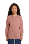 Joe's USA Premium Youth Sponge Fleece Raglan Sweatshirt
