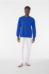 BELLA+CANVAS  ®  Unisex Sponge Fleece Raglan Sweatshirt. BC3901 - Bella + Canvas BC3901