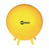 Champion Sports FITPRO BALL WITH STABILITY LEGS 65 CM