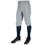Champro Triple Crown 2.0 KNICKER PINSTRIPE | Champro BP68PIN