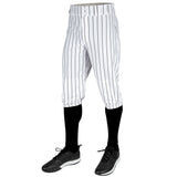Champro Triple Crown 2.0 KNICKER PINSTRIPE | Champro BP68PIN