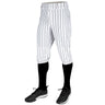 Champro Triple Crown 2.0 KNICKER PINSTRIPE | Champro BP68PIN