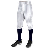 Champro Triple Crown 2.0 KNICKER PINSTRIPE | Champro BP68PIN