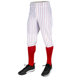Champro Triple Crown 2.0 KNICKER PINSTRIPE | Champro BP68PIN