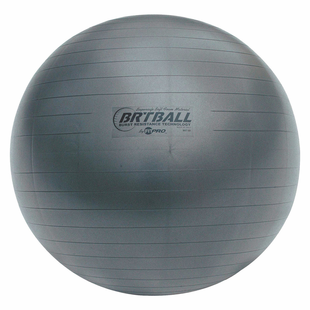 Champion Sports FITPRO BRT TRAINING & EXERCISE BALL 53 CM