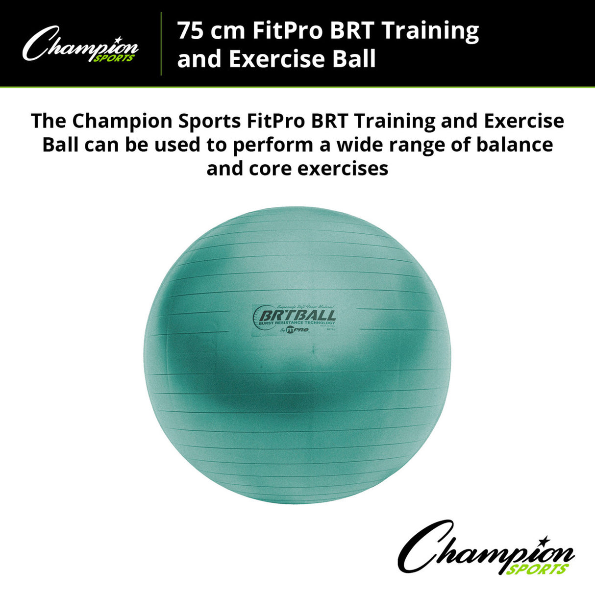 Champion Sports FITPRO BRT TRAINING & EXERCISE BALL 53 CM