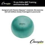 Champion Sports FITPRO BRT TRAINING & EXERCISE BALL 53 CM