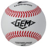 Champro All Weather Practice Ball | Champro CBB-GEM Champro Standard Standard