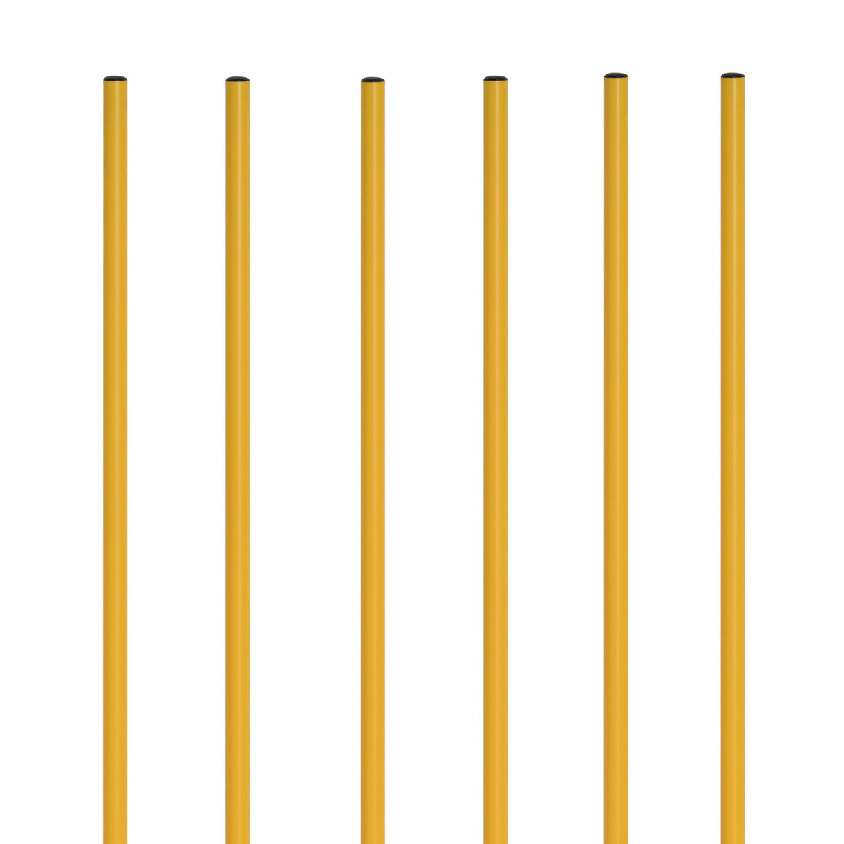 Champion Sports COACHING STICKS WITH BASE