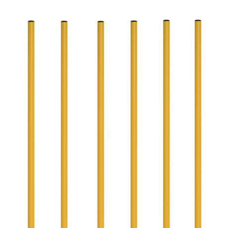Champion Sports COACHING STICKS WITH BASE