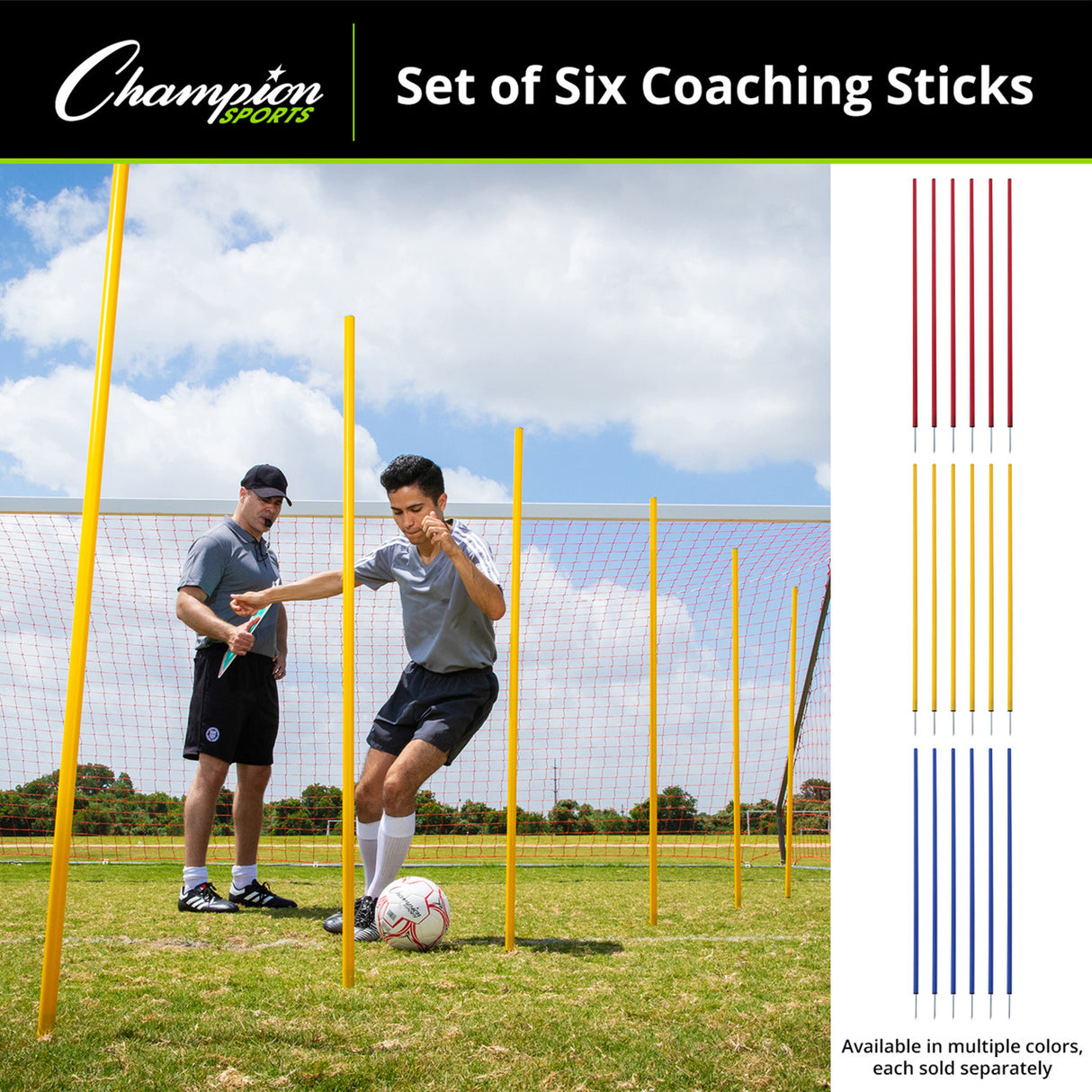COACHING STICKS, SET OF 6 BLUE
