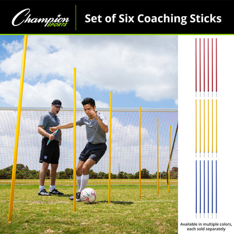 Champion Sports CS6BL Coaching Sticks, Set of 6 Blue