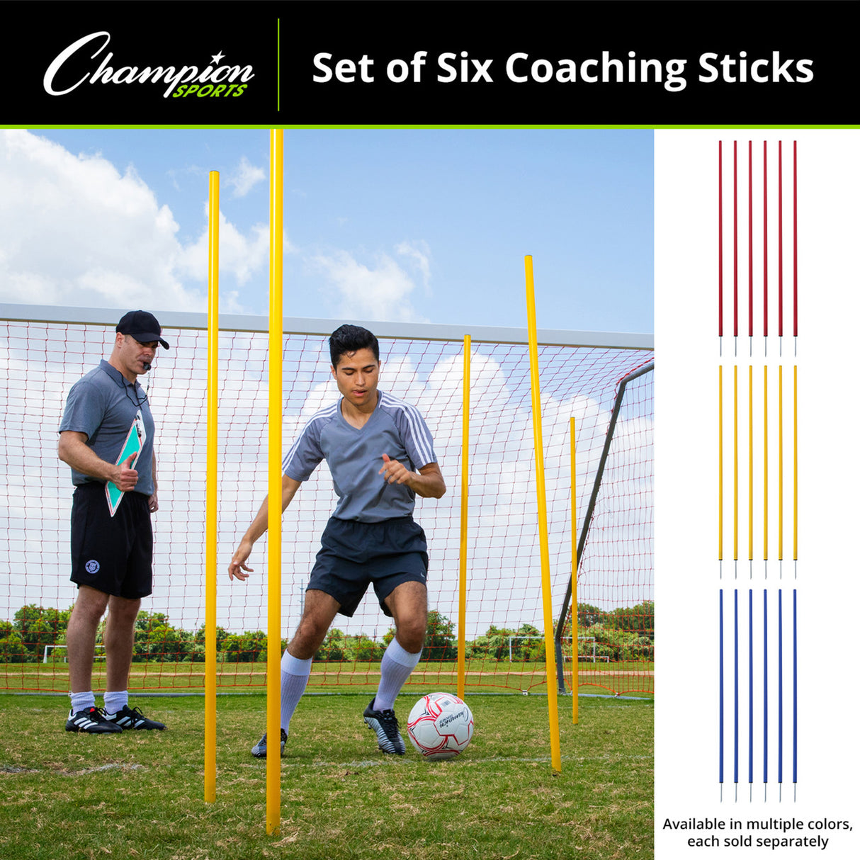 COACHING STICKS, SET OF 6 BLUE