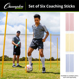 COACHING STICKS, SET OF 6 BLUE