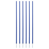 COACHING STICKS, SET OF 6 BLUE