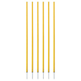 COACHING STICKS, SET OF 6 BLUE