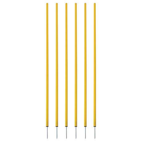 Champion Sports CS6BL Coaching Sticks, Set of 6 Blue