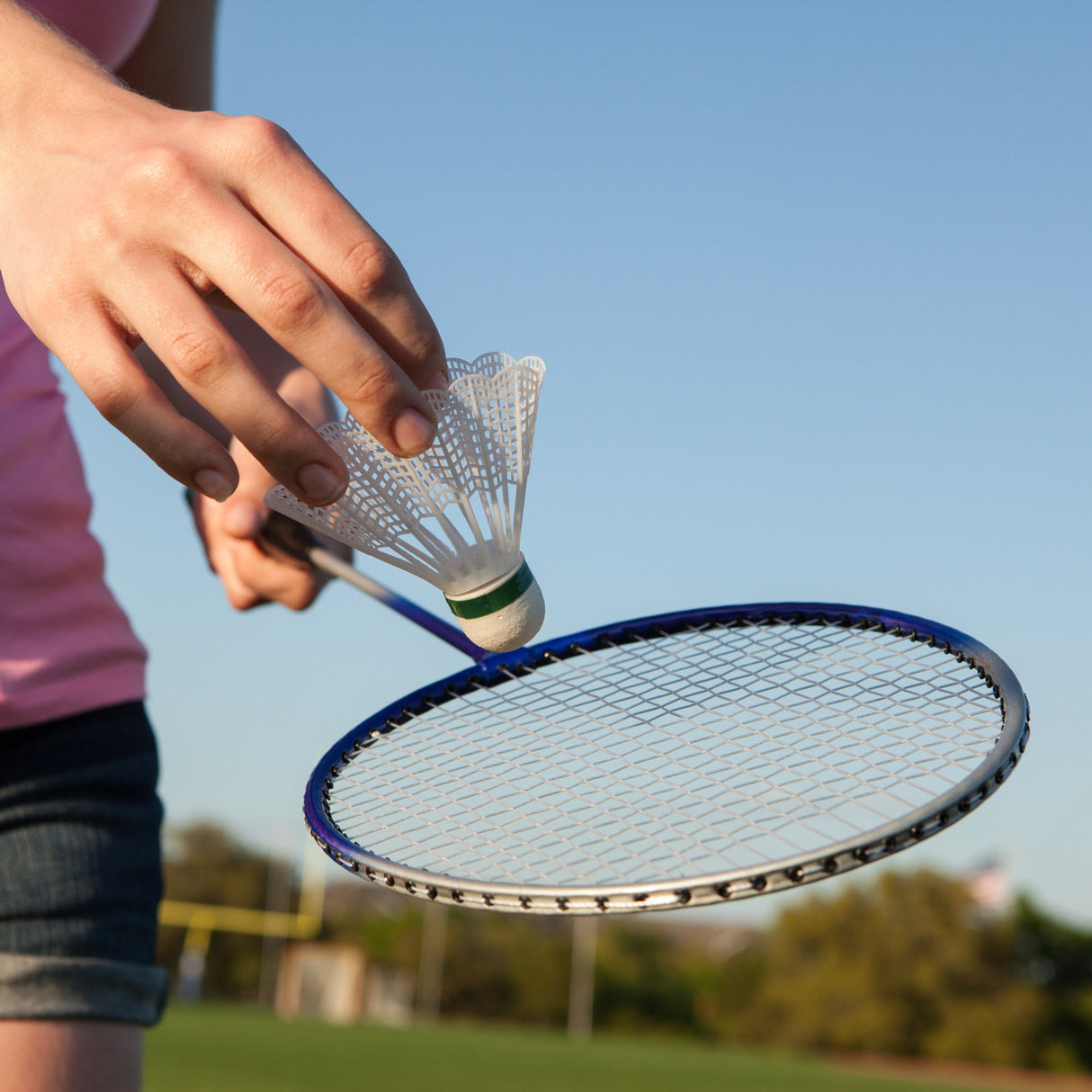 Champion Sports DELUXE BADMINTON SET