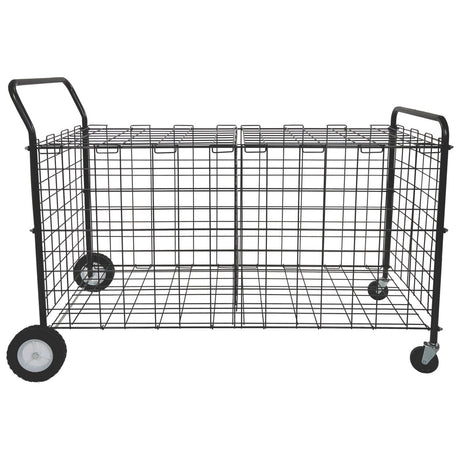 Champion Sports DOUBLE-SIDED LOCKABLE BALL LOCKER