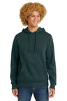 District  ®  Perfect Weight  ®  Fleece Hoodie DT1101 - District DT1101