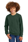 District ®  Youth V.I.T. ™  Fleece Crew DT6104Y - District DT6104Y