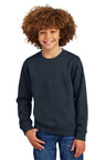 District ®  Youth V.I.T. ™  Fleece Crew DT6104Y - District DT6104Y