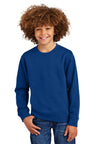 District ®  Youth V.I.T. ™  Fleece Crew DT6104Y - District DT6104Y