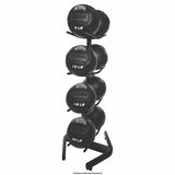 Champion Sports U-RING DOUBLE MEDICINE BALL TREE