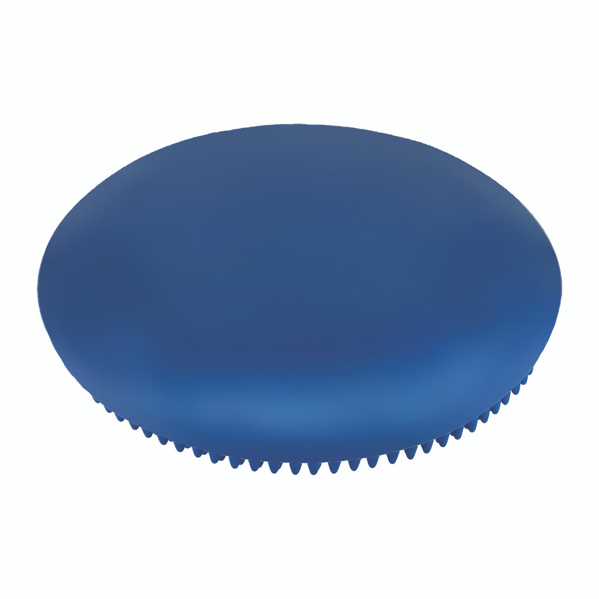Champion Sports 14" EXERCISE DISC
