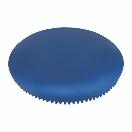 Champion Sports 14" EXERCISE DISC