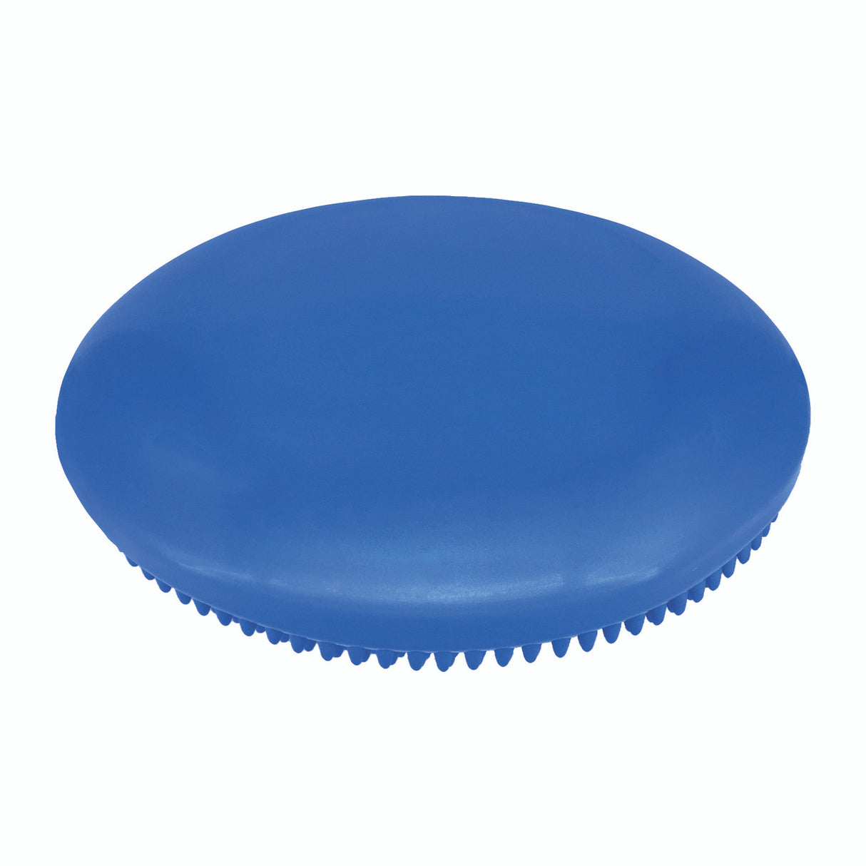 Champion Sports 14" EXERCISE DISC