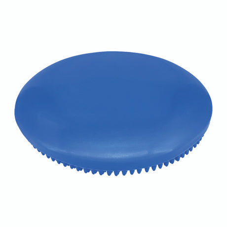 Champion Sports 14" EXERCISE DISC