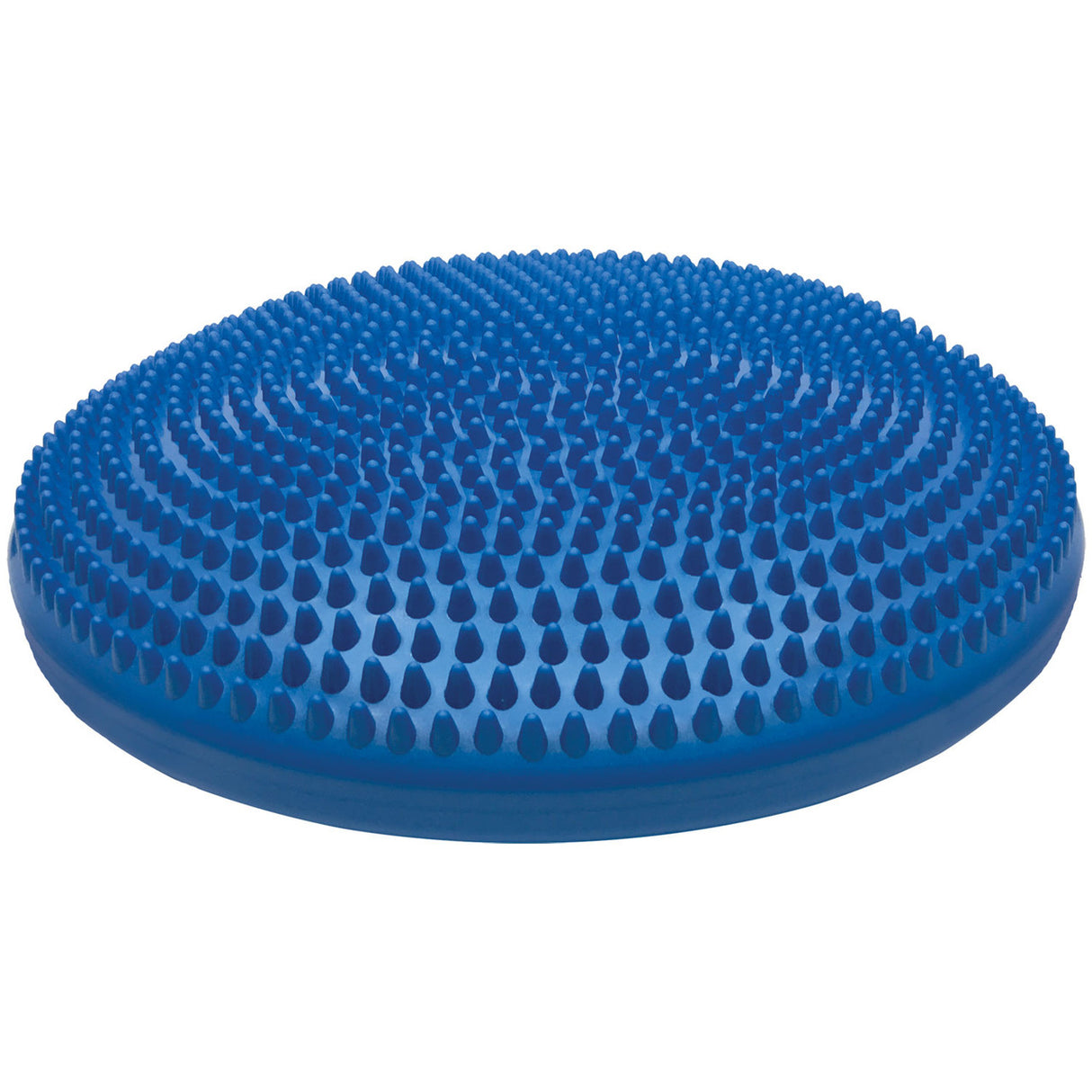 14" EXERCISE DISC