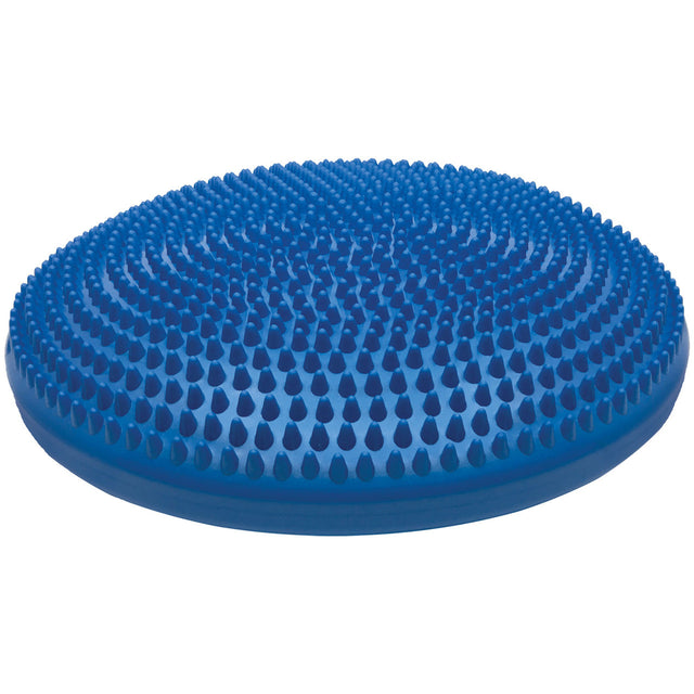 14" EXERCISE DISC