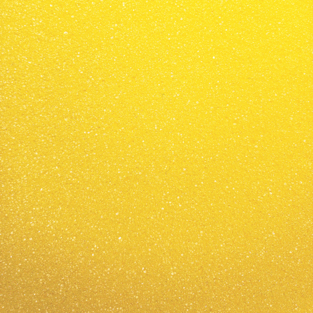 Champion Sports YELLOW FOAM DISC