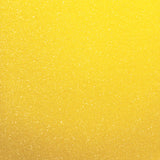 Champion Sports YELLOW FOAM DISC
