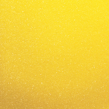 Champion Sports YELLOW FOAM DISC
