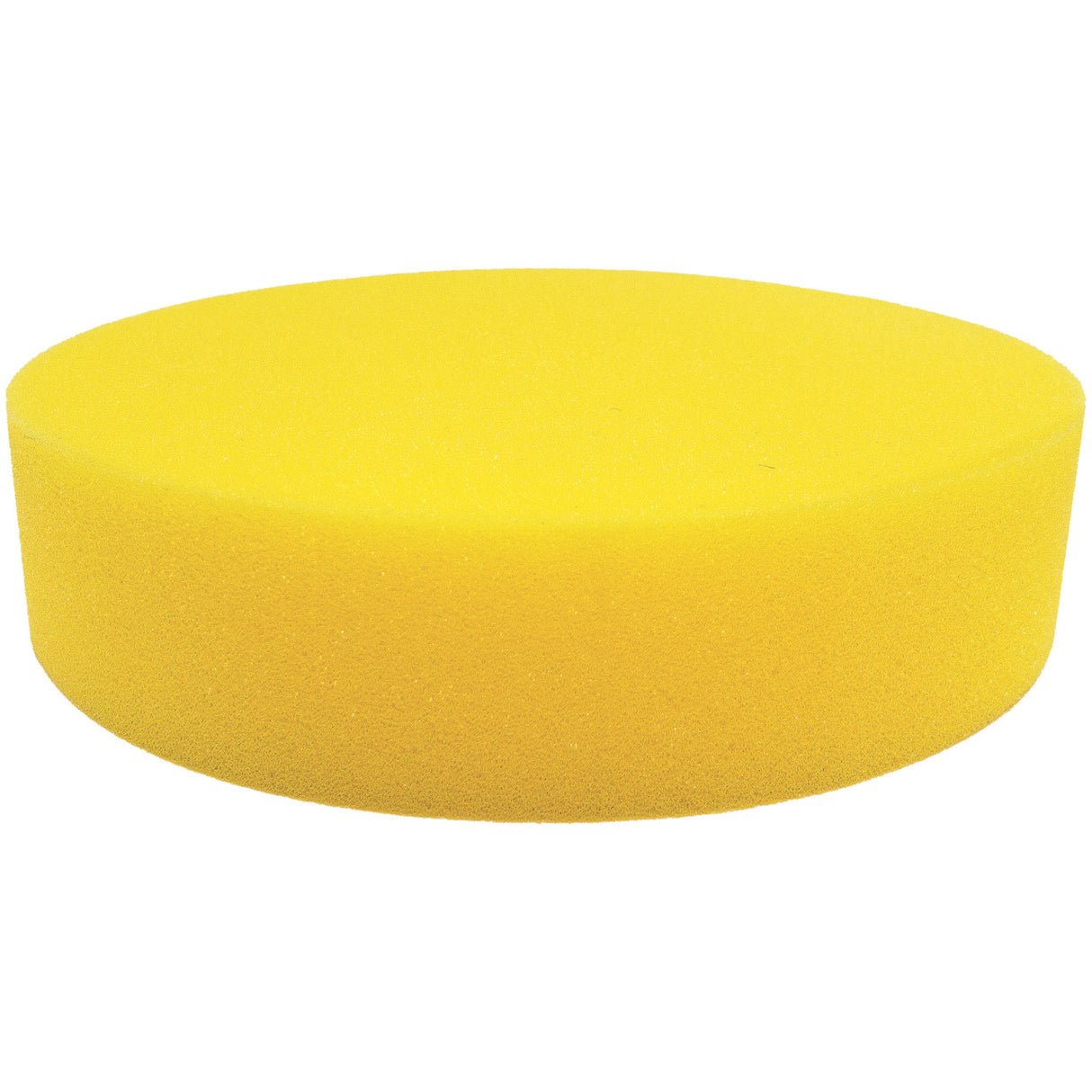 YELLOW FOAM DISC